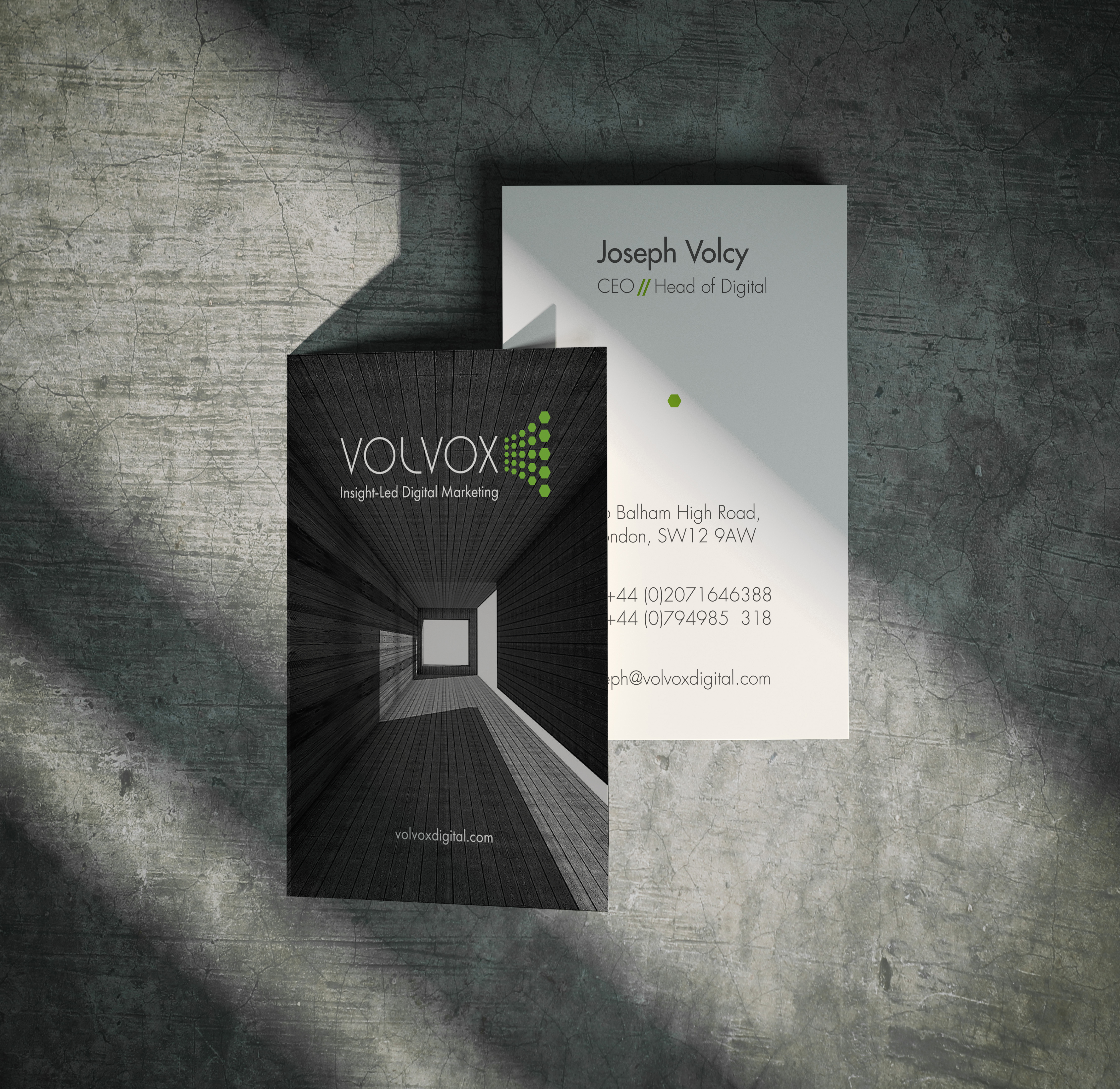 Volvox Business Card Branding
